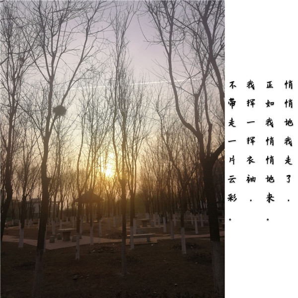 摄影7_副本.jpg