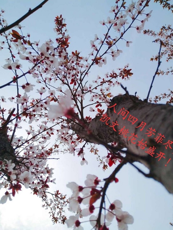 摄影3.jpg