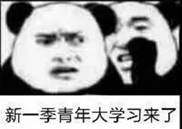 10.jpg undefined