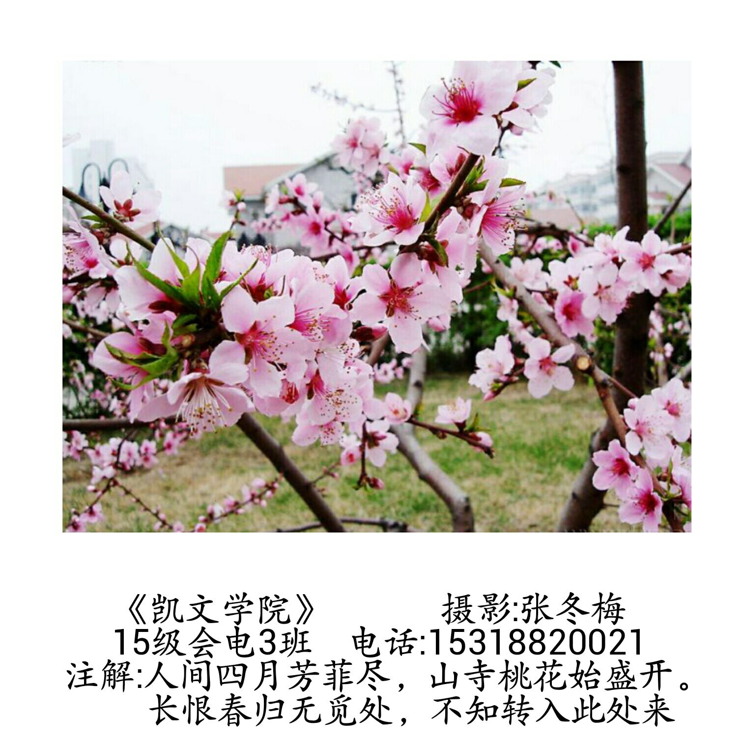 工商管理学院举办“凯文之美”摄影大赛.jpg