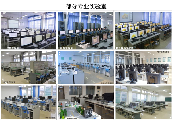 电子_副本.png