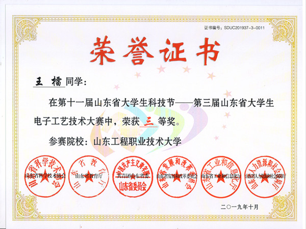 电子工艺比赛 wanglei_副本.jpg