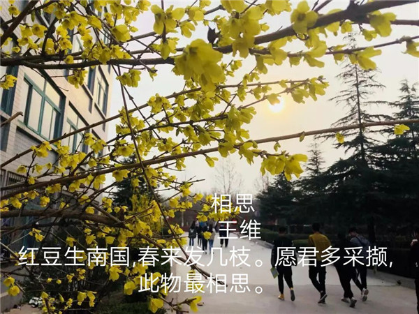 摄影2_副本.jpg
