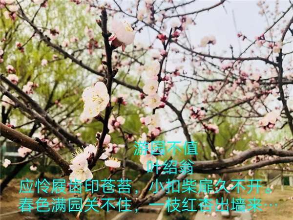摄影1_副本.jpg
