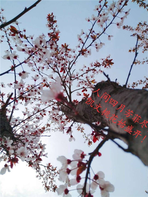摄影3_副本.jpg